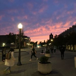 Meet your Posher, Riley